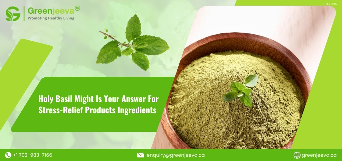 Stress-Relief Product – Holy Basil Extract Powder is the Right Ingredient