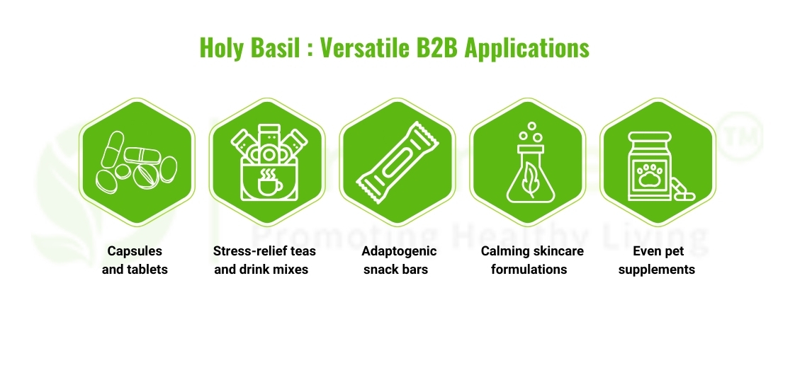 Holy Basil : Versatile B2B Applications