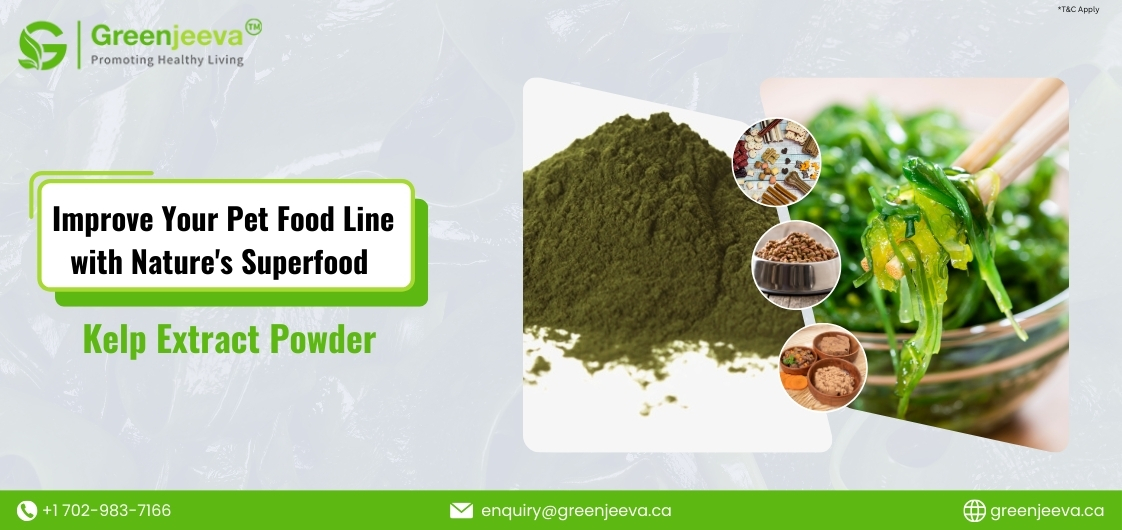 Kelp extract powder is transforming premium pet nutrition. Know more about market trends, formulation benefits, and opportunities for B2B.