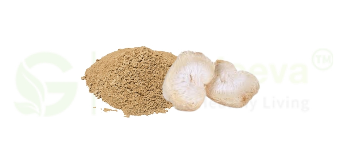 Organic Lion's Mane Powder in Functional Foods