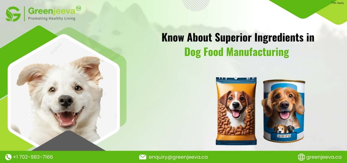 Dog Food Ingredients for Healthy Canine Nutrition