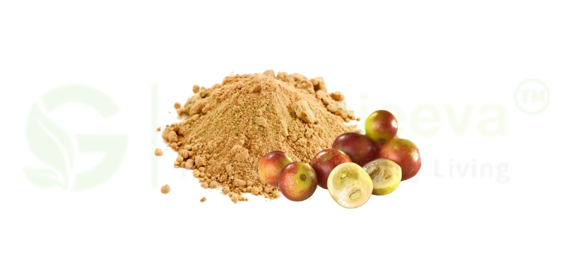 Camu Camu Extract: The Essential Ingredient