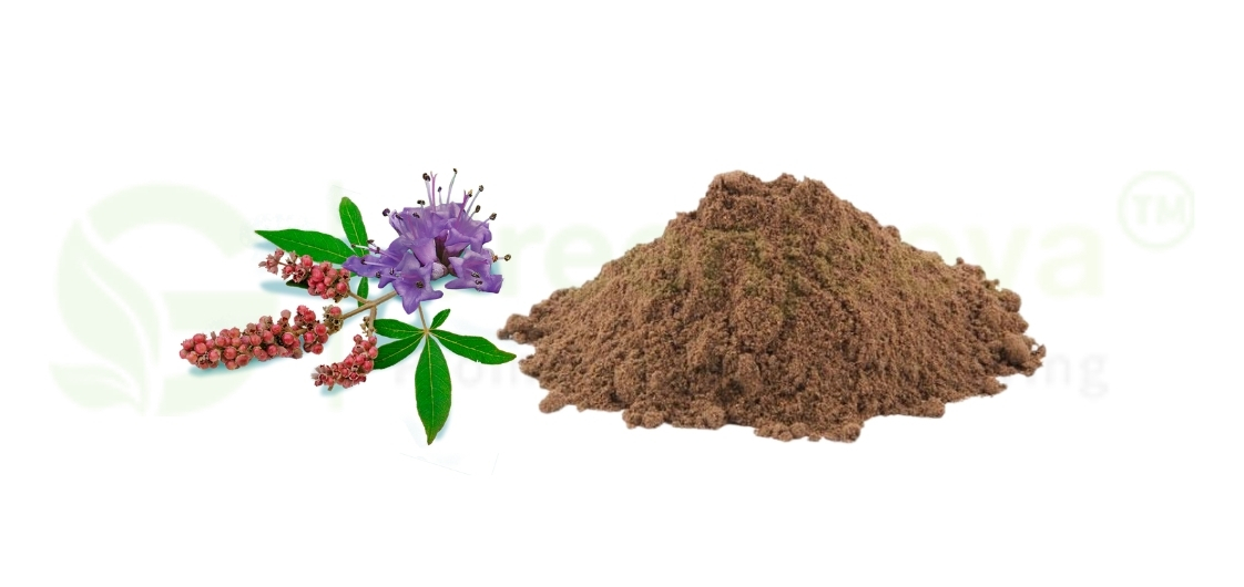 Chaste Berry Powder: A Key Ingredient in Health Supplements 