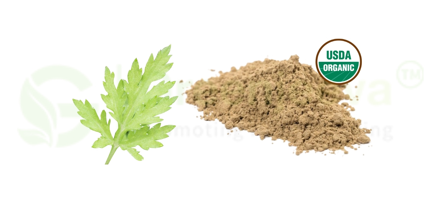 Organic Wormwood Leaf Powder - An Ingredient in Herbal Supplement