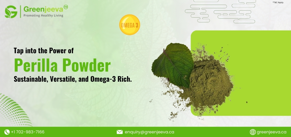 The Omega-3 Powerhouse: Perilla Seeds Powder as a Plant-Based Alternative in Nutraceuticals