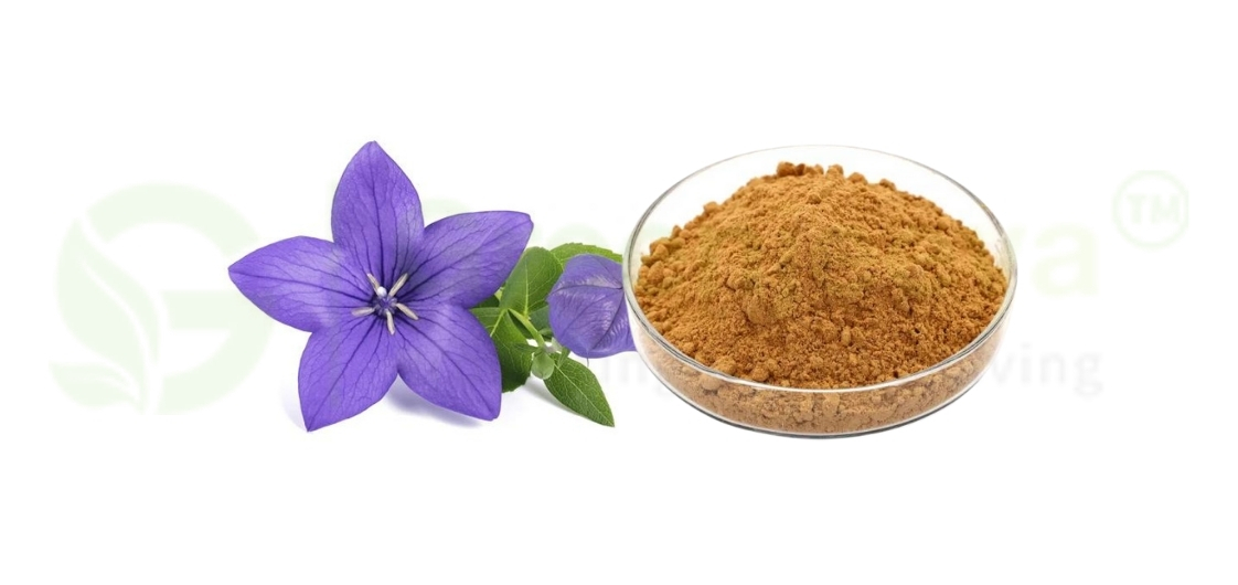 Platycodon Extract Powder in Contemporary Products