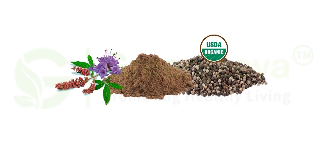 Organic Chaste Berry Powder: New Opportunities in Women's Sports Nutrition