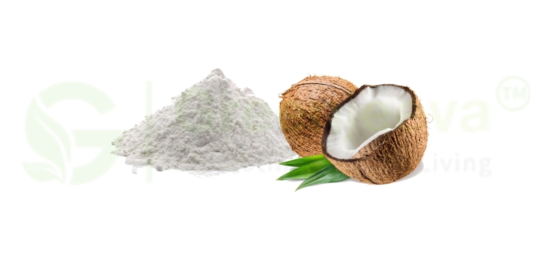 Organic Coconut Milk Powder: A Key Ingredient