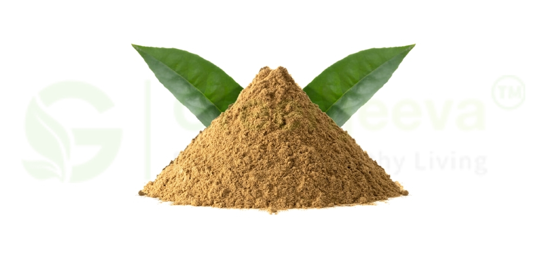 Organic Guayusa Leaf Powder