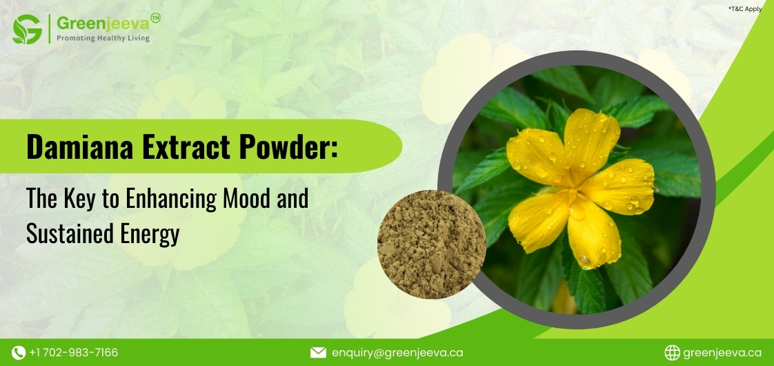 Damiana Extract Powder: A Key Ingredient for Natural Supplements