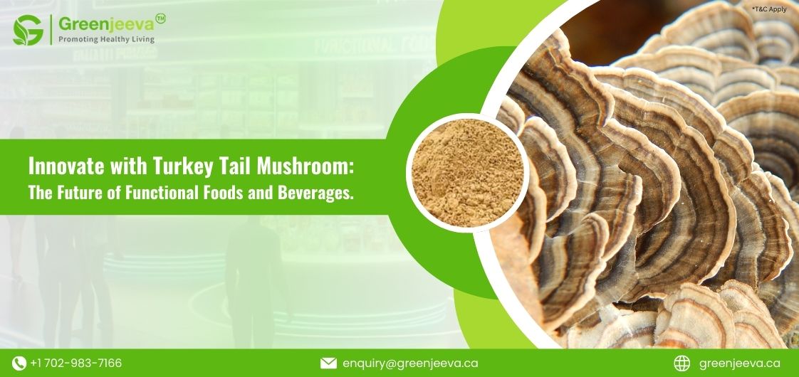 Turkey Tail Mushroom in Functional Foods