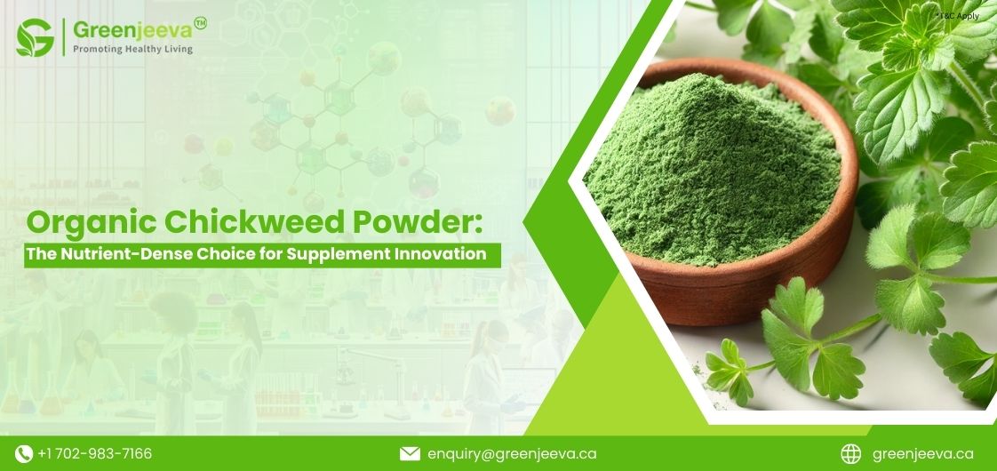 Unlocking the Nutritional Potential of Organic Chickweed Powder for Supplement Formulations