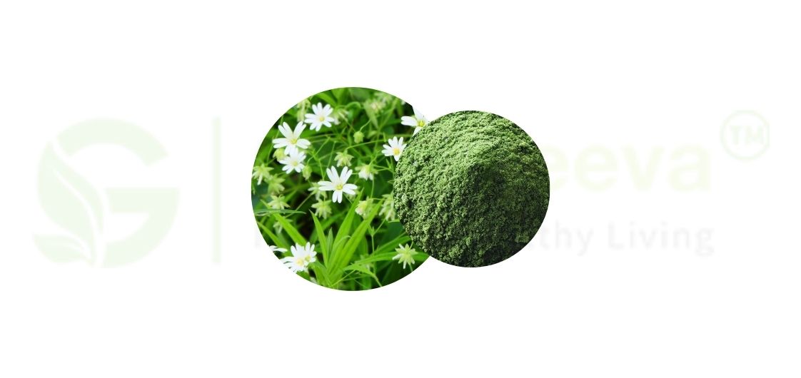 organic chickweed powder