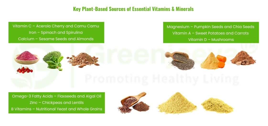 Top Plant-Based Sources of Essential Vitamins & Minerals for Supplement Formulations