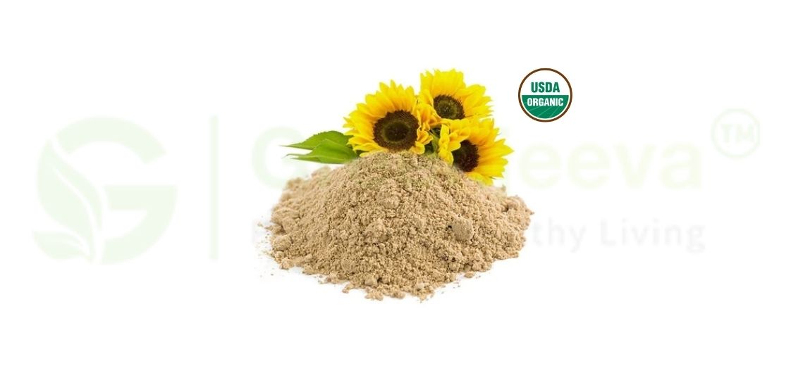 Sunflower Lecithin Powder vs. Soy Lecithin: The Best Emulsifier for Bulk Production 