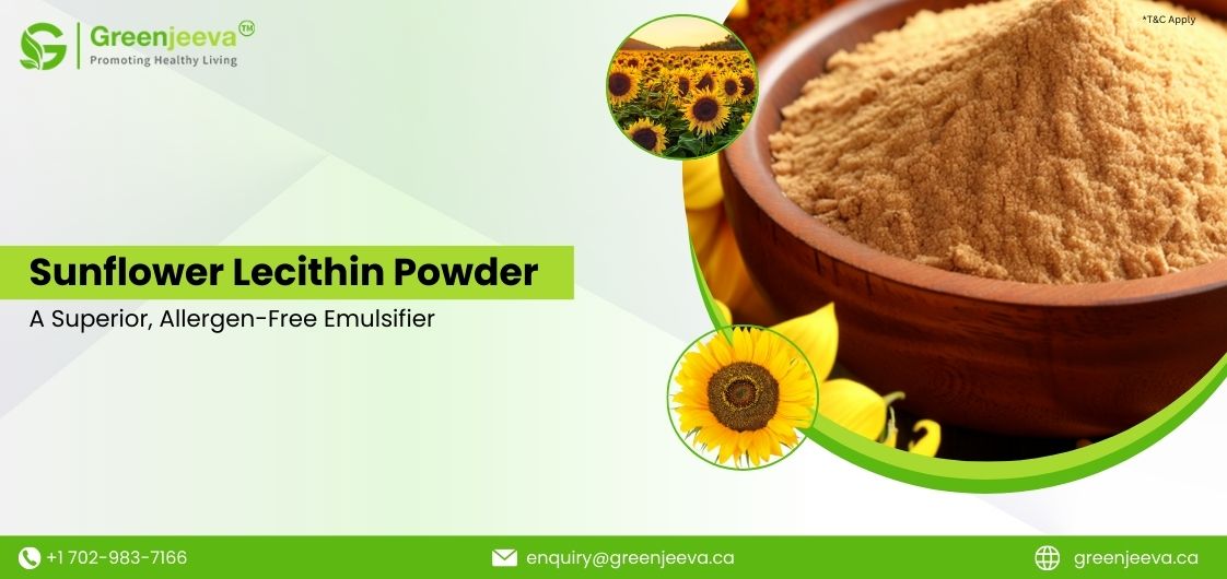 Sunflower Lecithin Powder vs. Soy Lecithin in Commercial Food Production