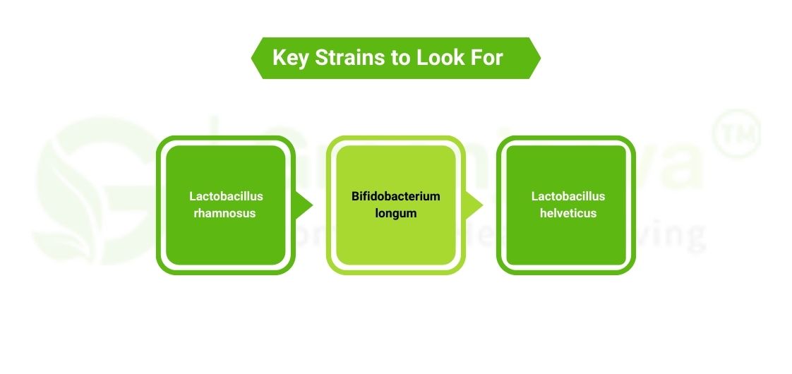 Key strains to look for in Probiotic 