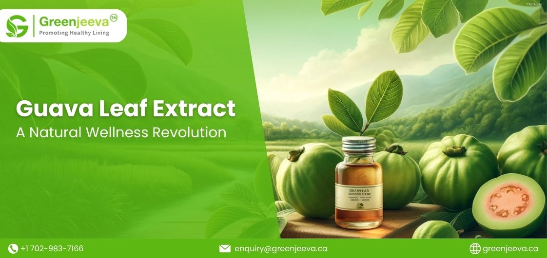 10 Remarkable Benefits of Guava Leaf Extract for Natural Wellness