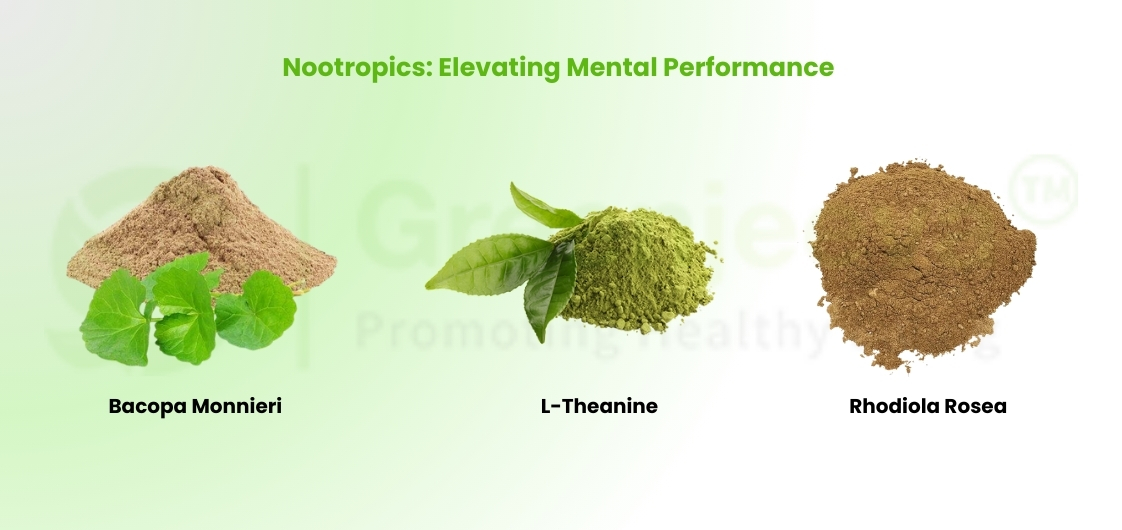 Nootropics - Elevating Mental Performance 