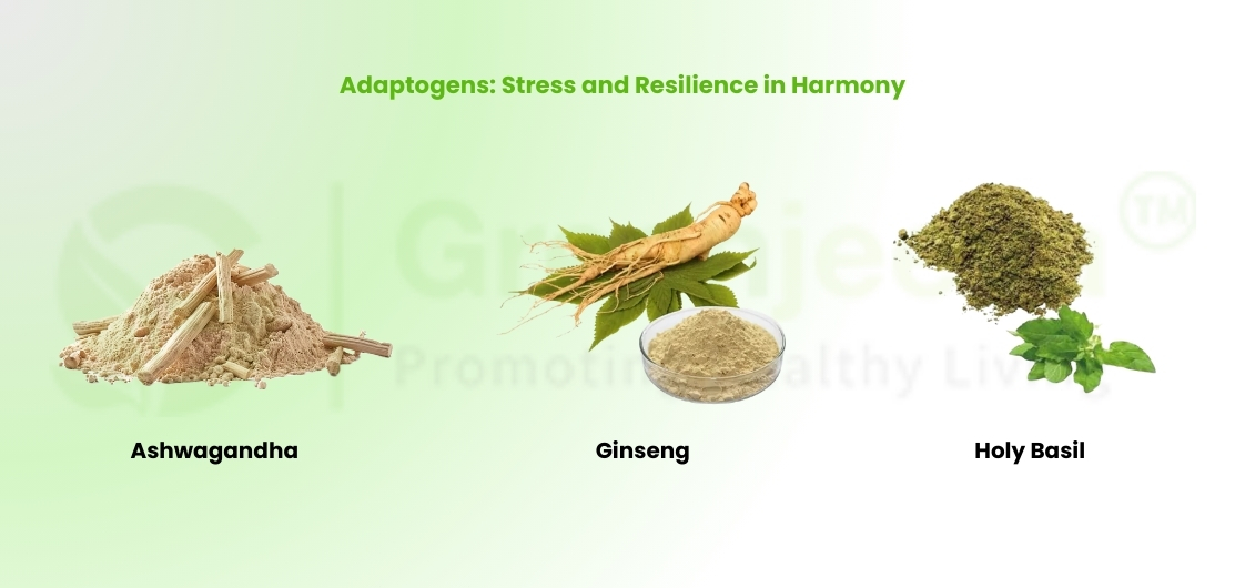 Adaptogen - Stress and Resilience in Harmony 