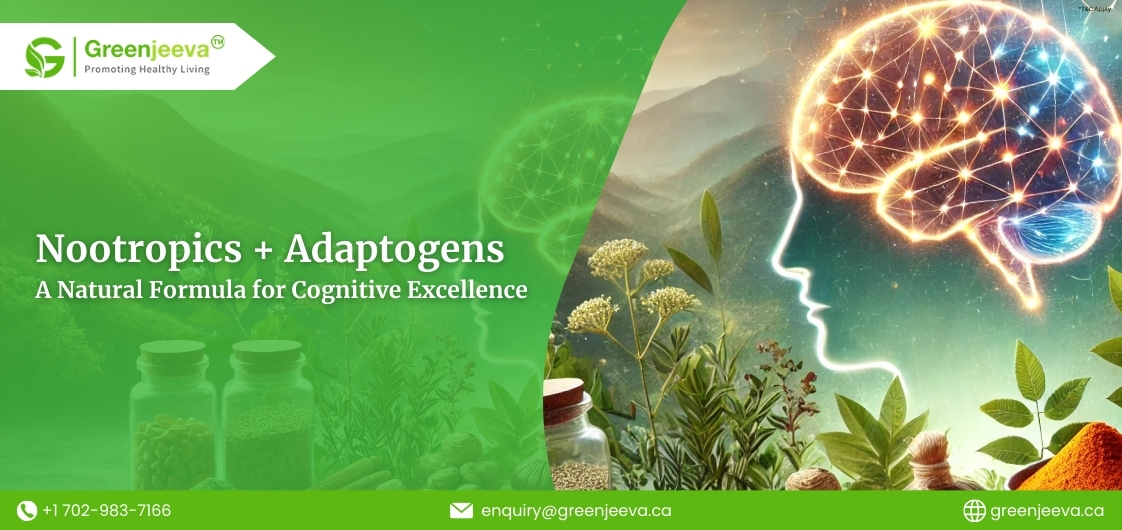 Nootropics and Adaptogens: The Perfect Pair for Modern Cognitive Wellness