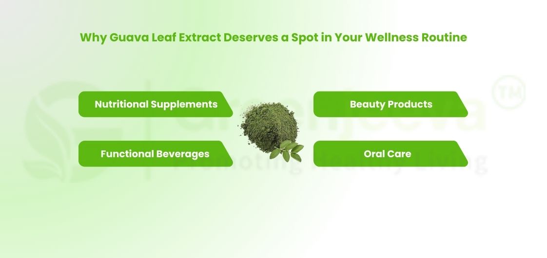 How to add Guava Leaf Extract Powder into your wellness routine. 