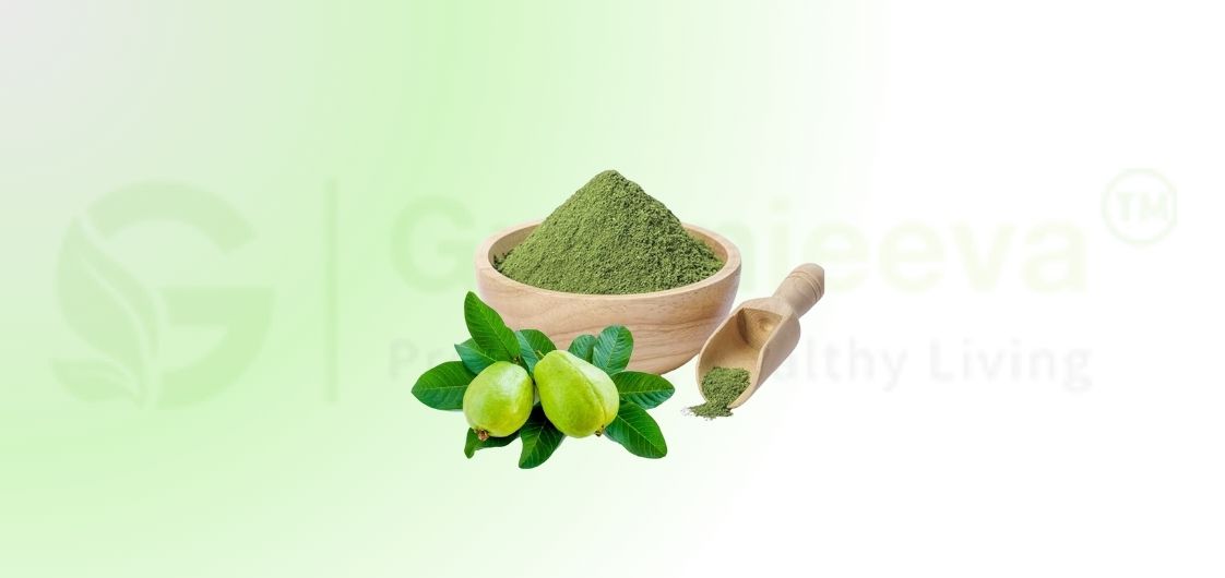 Guava Leaf Extract Powder