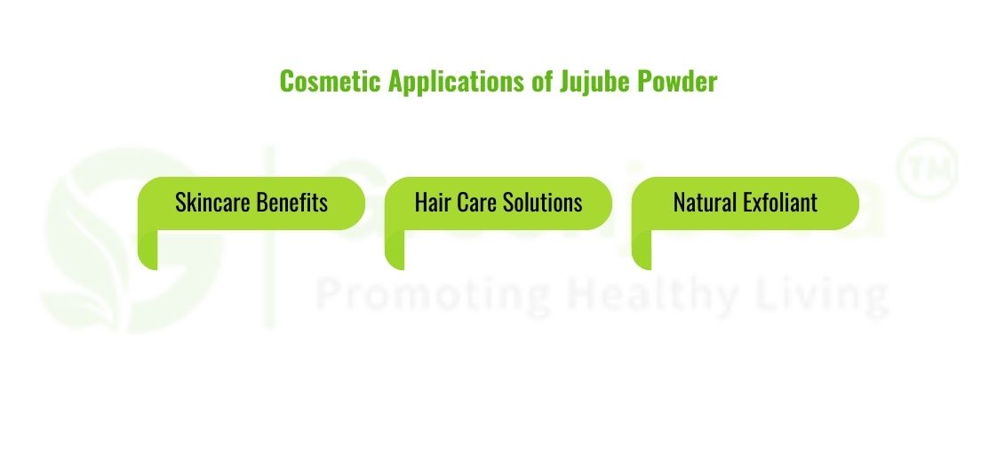 Jujube Powder in B2B Applications