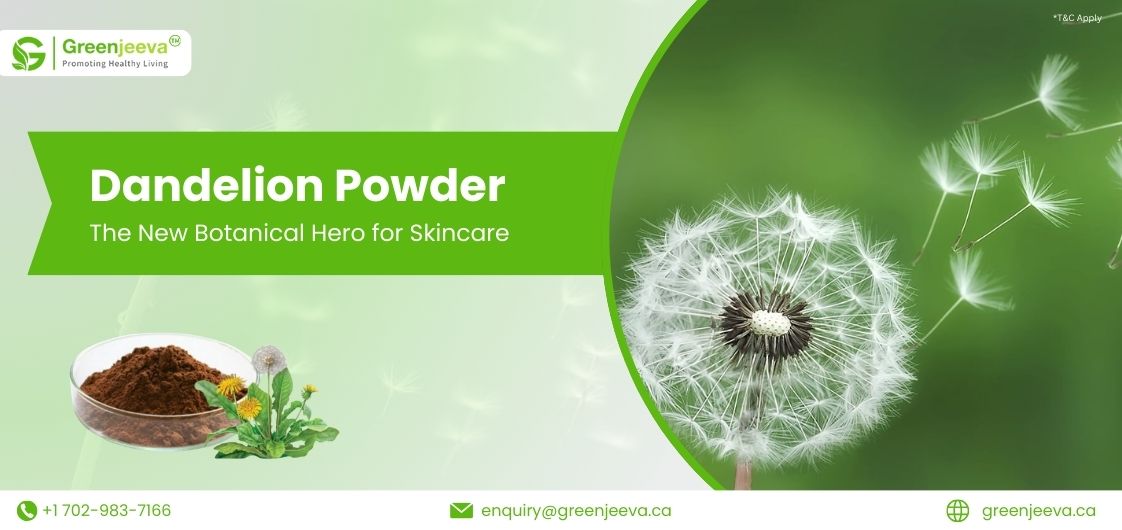 Dandelion Powder in Skincare and Personal Care Formulations: An Emerging Trend