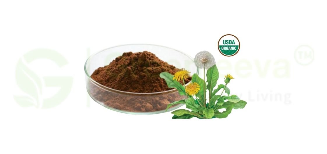 Dandelion Powder in Skincare