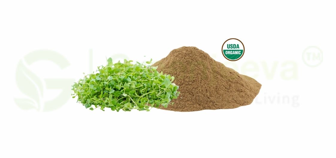 Learn about organic chickweed powder health benefits, its popularity, and how wellness brands can leverage this ingredient for growth. 