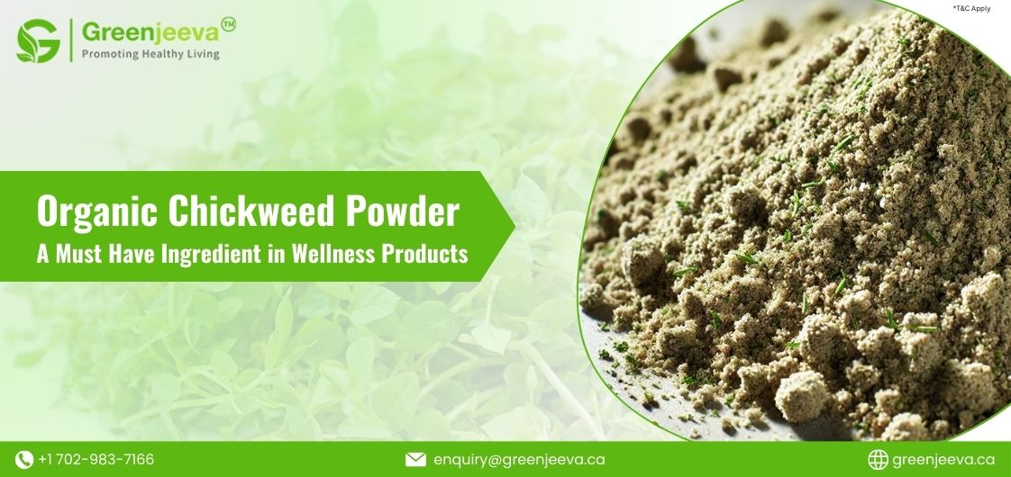 Organic Chickweed Powder: A Hidden Gem for Wellness Brands