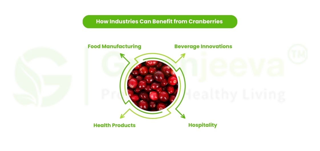 Industrial Application of Cranberries during Holiday season 