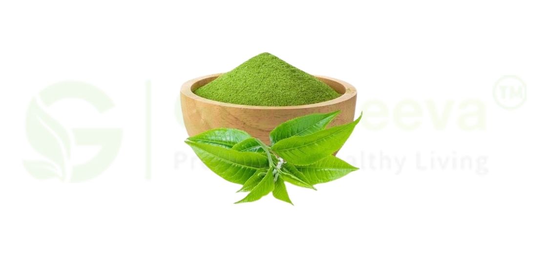 matcha powder for christmas holiday 