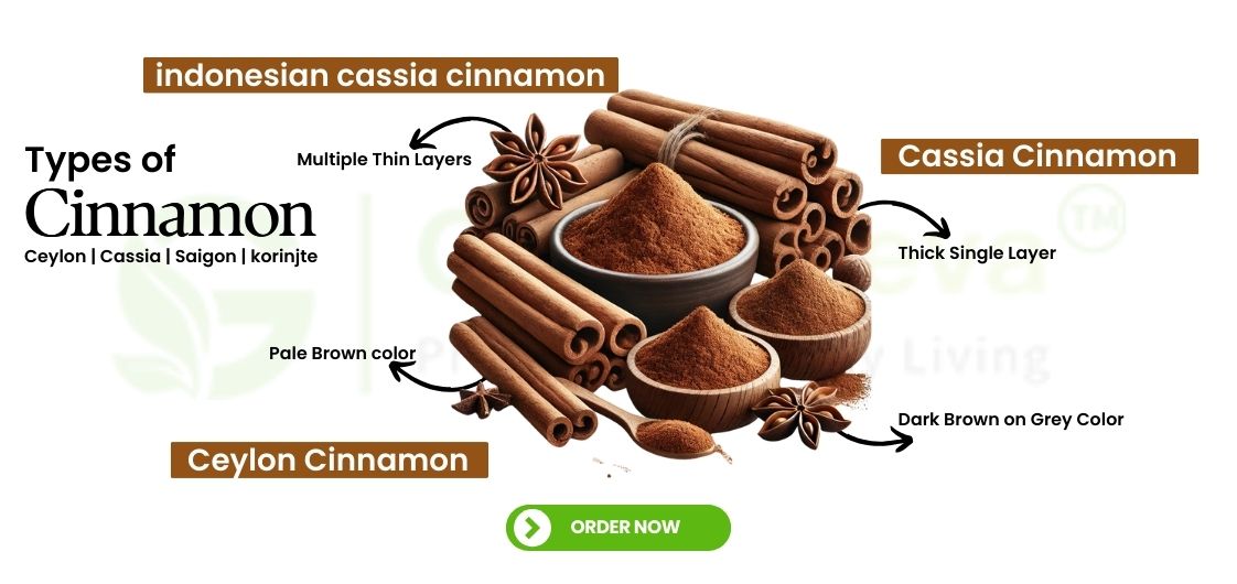 Cinnamon Extract