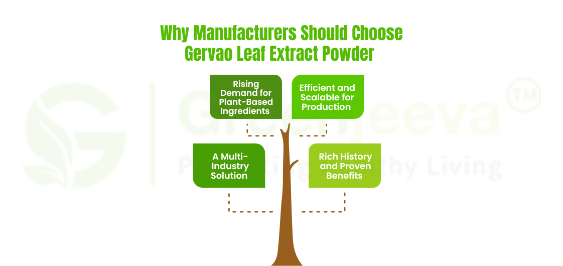 Gervao Leaf Extract Powder