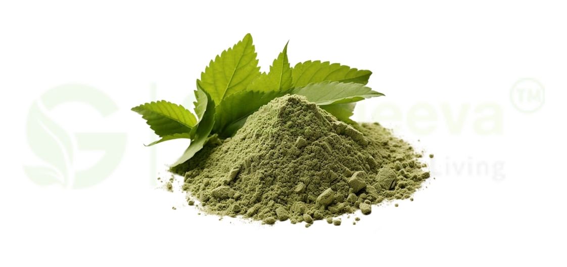 Organic Holy Basil Leaves Powder