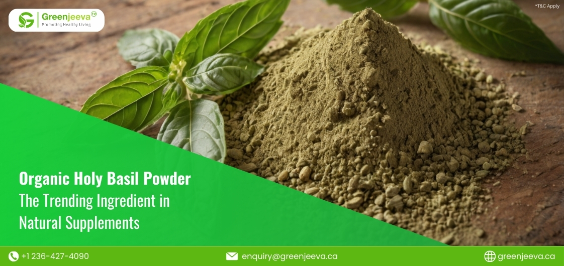 Organic Holy Basil Powder: The Clean Label Trend Taking Herbal Supplements by Storm