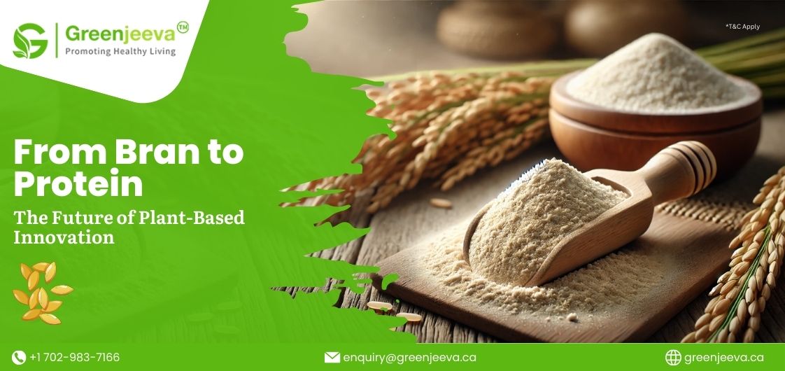 The Rise of Organic Rice Bran Powder in the Future of Plant-Based Products