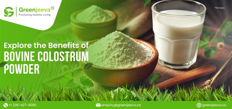 What Are the Top Benefits of Bovine Colostrum?