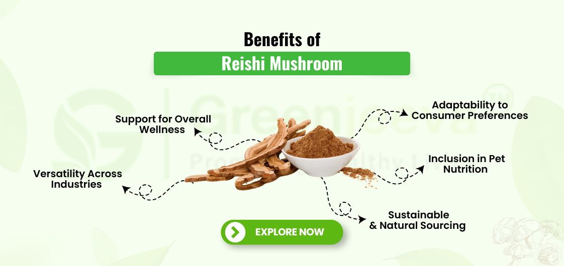 Benefits of Reishi Mushroom