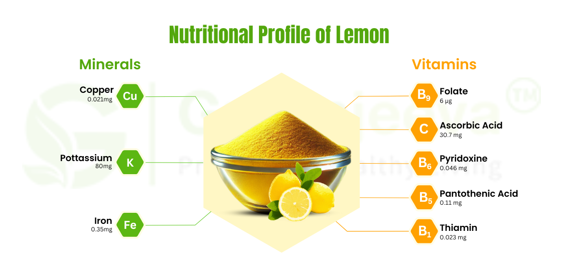 Dry Lemon Powder in the Food and Beverage Industry 