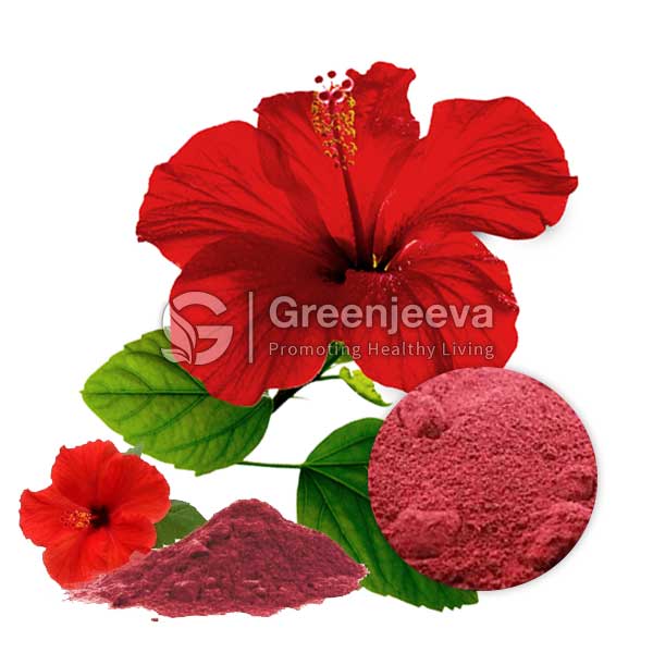 Organic Hibiscus Flower Powder with hibiscus flower