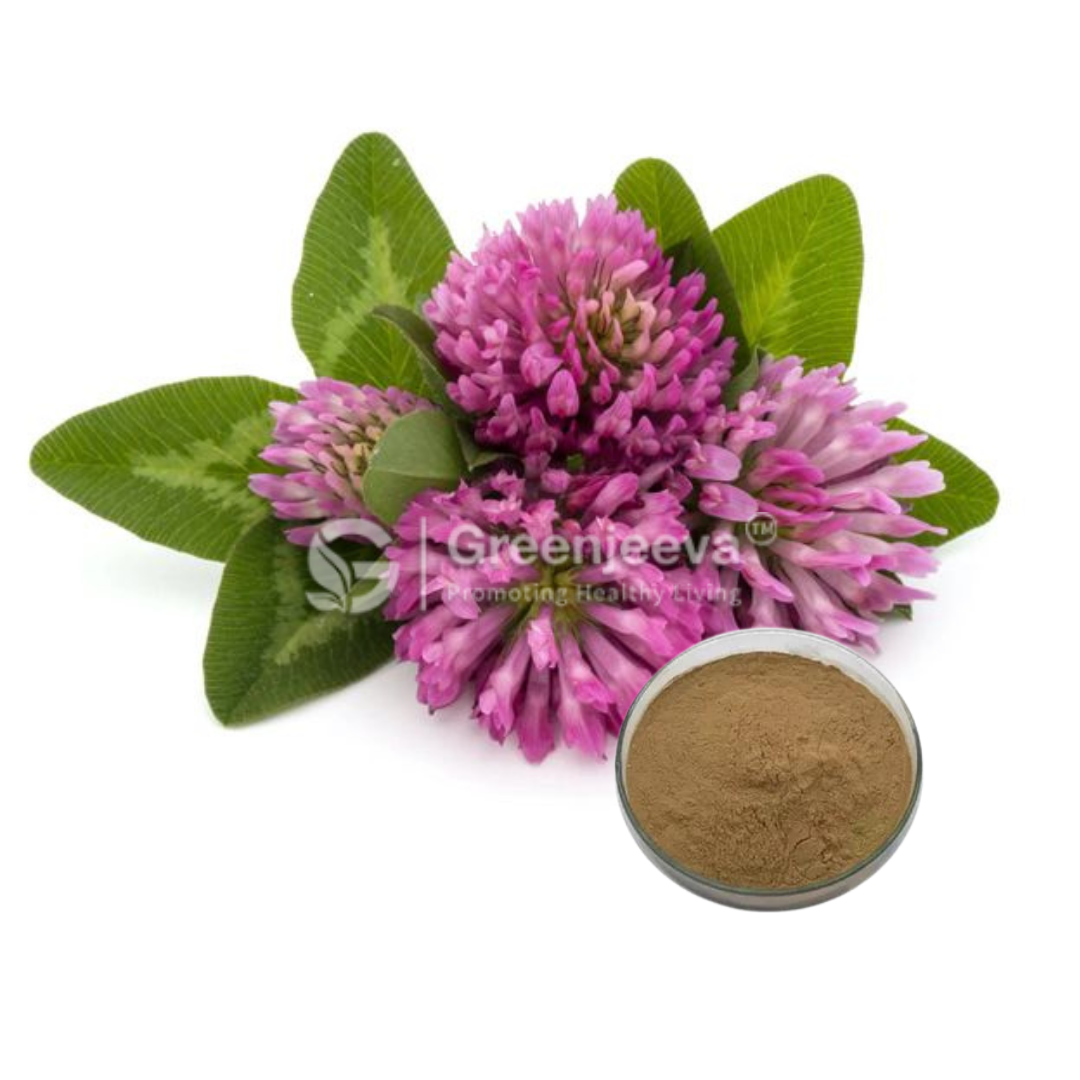 Red Clover Powder