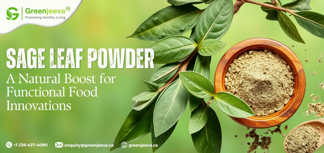 Sage Leaf Powder: A Natural Solution for Next-Gen Functional Foods