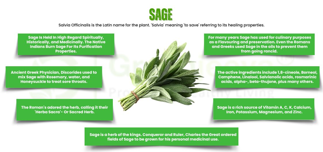 Sage Leaf Powder