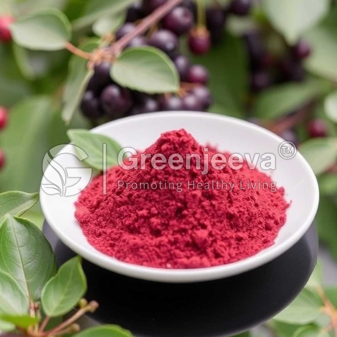 Hawthorne Berry Extract Powder 2% Vitexin