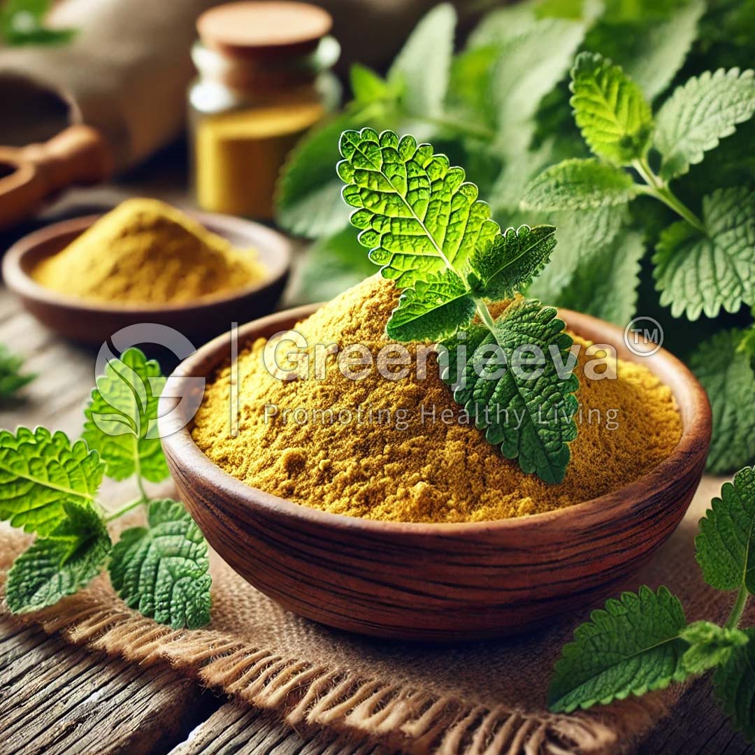 Lemon Balm Extract Powder 4:1