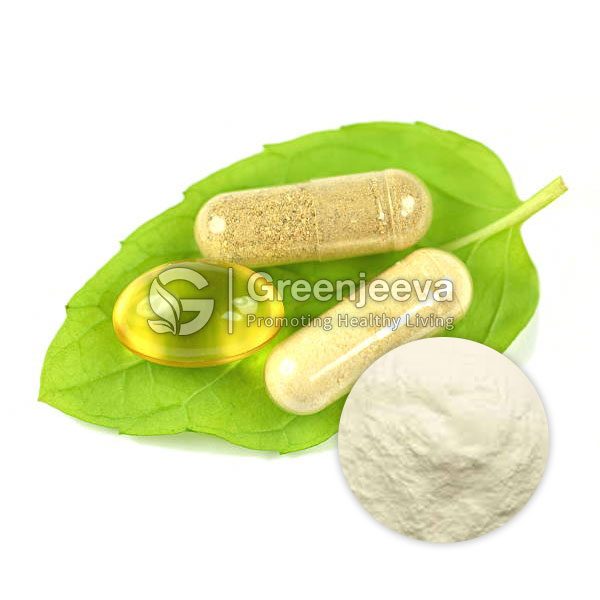 Three dietary capsules and a soft gel on a green leaf, with a Omega 3 Fish Oil Powder in the corner, promoting healthy living.