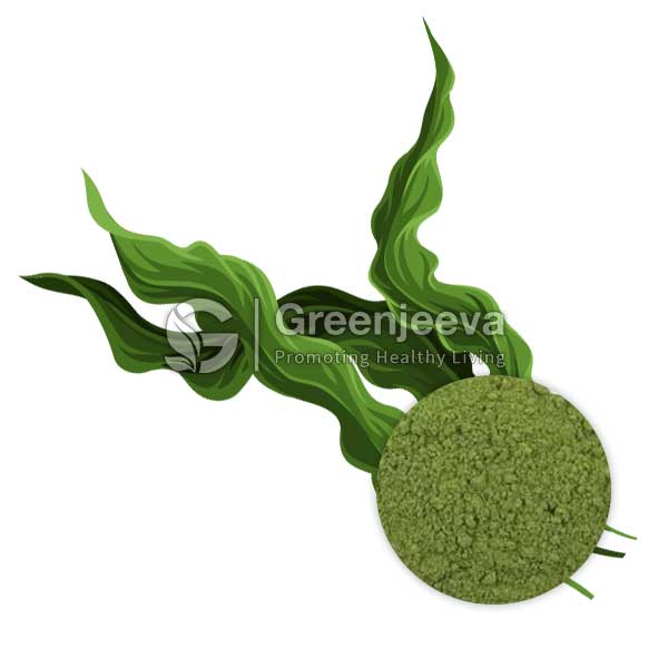 Organic Blue Spirulina Extract Powder E18